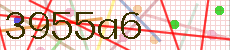 3955a6